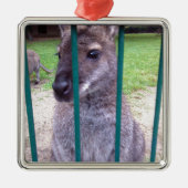 Kangaroo behind bars silbernes ornament (Vorne)