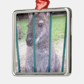 Kangaroo behind bars silbernes ornament (Links)