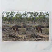 Kangaroo bei der Billabong, Jumbo Birthday Card, Karte (Innenseite)