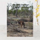 Kangaroo bei der Billabong, Jumbo Birthday Card, Karte (Gelbe Blume)