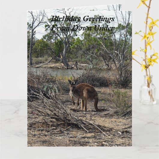 Kangaroo bei der Billabong, Jumbo Birthday Card, Karte (Gelbe Blume)