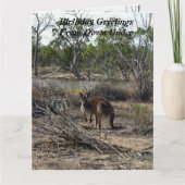 Kangaroo bei der Billabong, Jumbo Birthday Card, Karte (Vorderseite)