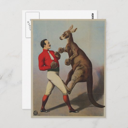 Kangaroo-Boxsideshow Postkarte (Vorne/Hinten)