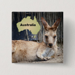 Kangaroo Button