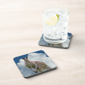 Kangaroo Cork Untersetzer (Rechte Seite)