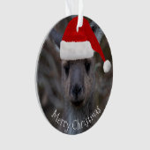 Kangaroo Face Weihnachtsmannmütze Frohe Weihnachte Ornament (Vorderseite)