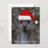 Kangaroo Face Weihnachtsmannmütze Frohe Weihnachts Postkarte (Vorne/Hinten)