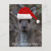 Kangaroo Face Weihnachtsmannmütze Frohe Weihnachts Postkarte (Vorderseite)