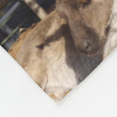 Kangaroo Foto Collage , Fleecedecke (Ecke)