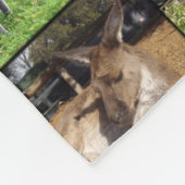 Kangaroo Foto Collage , Fleecedecke (Ecke)