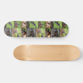 Kangaroo Foto Collage, Skateboard (Horizontal)