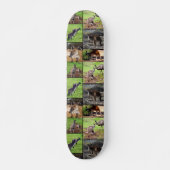 Kangaroo Foto Collage, Skateboard (Vorne)