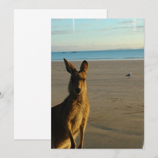 Kangaroo Foto Einladung (Vorne/Hinten)