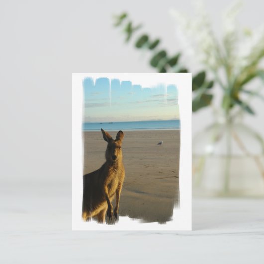 Kangaroo Foto Postkarte (Stehend Vorderseite)