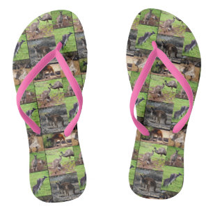 Kangaroo FotoCollage, Badesandalen