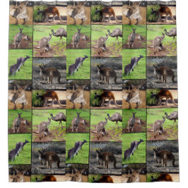 Kangaroo FotoCollage, Duschvorhang. Duschvorhang