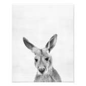 Kangaroo Fotodruck (Vorne)