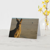 Kangaroo-Fotokarte Karte (Gelbe Blume)