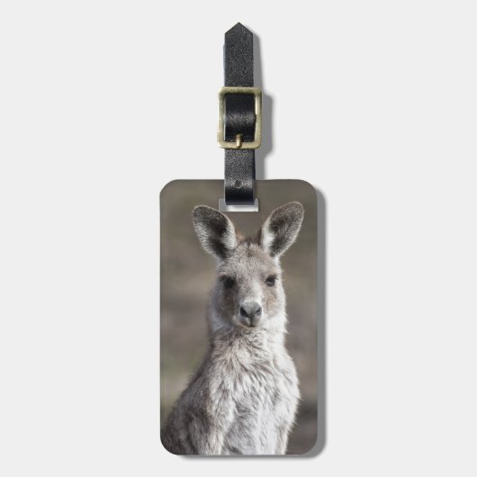 Kangaroo Gepäckanhänger (Vorderseite vertikal)