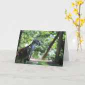 Kangaroo Grußkarte Karte (Gelbe Blume)