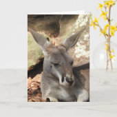 Kangaroo Grußkarte Karte (Gelbe Blume)