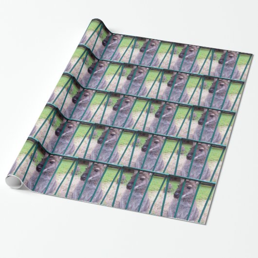 Kangaroo hinter Gittern Geschenkpapier (Ungerollt)