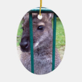 Kangaroo hinter Gittern Keramik Ornament (Vorne)