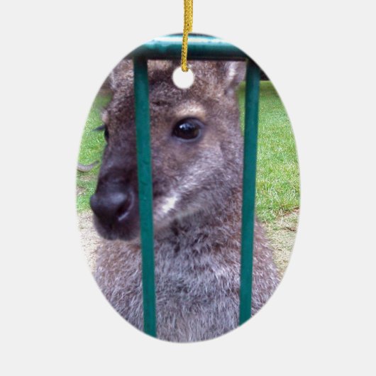Kangaroo hinter Gittern Keramik Ornament (Vorne)