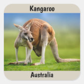 Kangaroo-Hintergrund Quadratischer Aufkleber (Vorderseite)