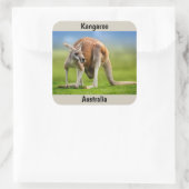Kangaroo-Hintergrund Quadratischer Aufkleber (Tasche)