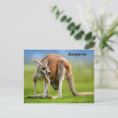 Kangaroo Holiday Postkarte (Stehend Vorderseite)