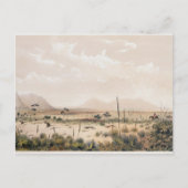 Kangaroo Hunt Postkarte (Vorderseite)