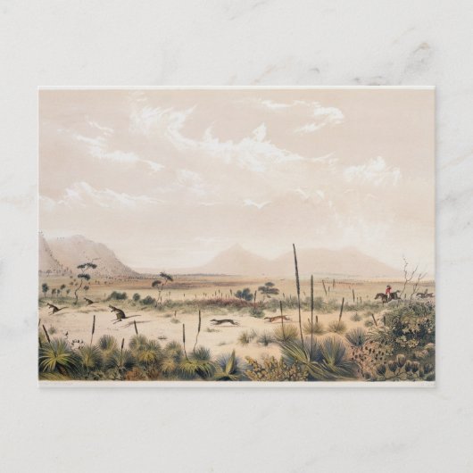Kangaroo Hunt Postkarte (Vorderseite)