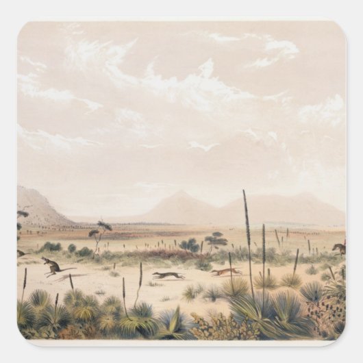 Kangaroo Hunt Quadratischer Aufkleber (Vorderseite)