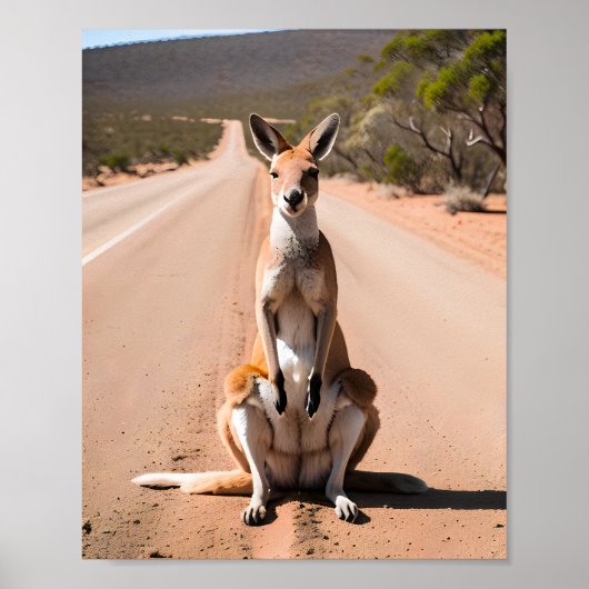 Kangaroo im Freien Poster (Vorne)