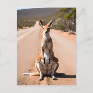 Kangaroo im Freien Postkarte