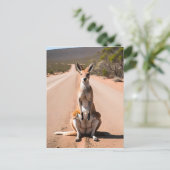Kangaroo im Freien Postkarte (Stehend Vorderseite)