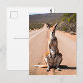 Kangaroo im Freien Postkarte (Vorne/Hinten)