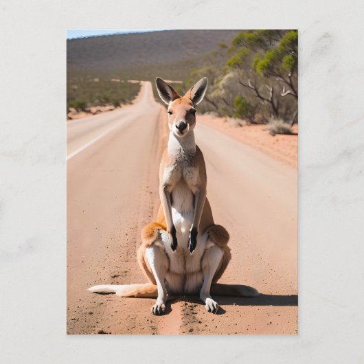 Kangaroo im Freien Postkarte (Vorderseite)