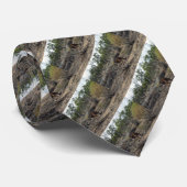 Kangaroo in Billabong Krawatte (Gerollt)