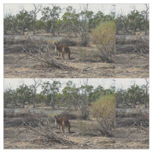 Kangaroo in Billabong Stoff