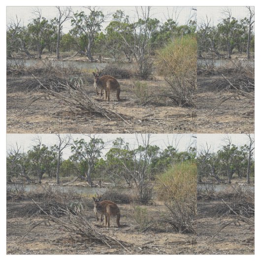 Kangaroo in Billabong Stoff (Nahaufnahme)