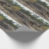 Kangaroo, in der Zwischenzeit im Billabong, Geschenkpapier (Ecke)