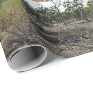 Kangaroo, in der Zwischenzeit im Billabong, Geschenkpapier