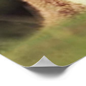 Kangaroo & Joey Poster (Ecke)