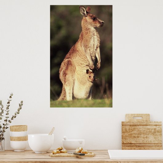 Kangaroo & Joey Poster (Küche)