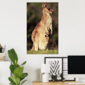 Kangaroo & Joey Poster (Heimbüro)