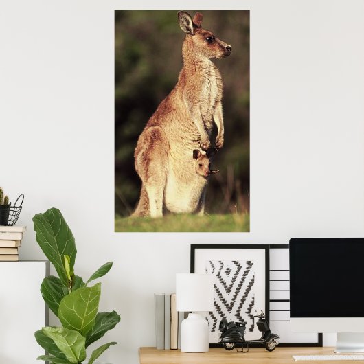 Kangaroo & Joey Poster (Heimbüro)