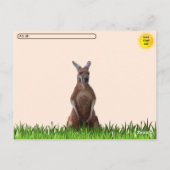 Kangaroo-Konfident Postkarte (Rückseite)