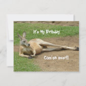 Kangaroo lädt Geburtstagsparty ein Einladung (Vorderseite)